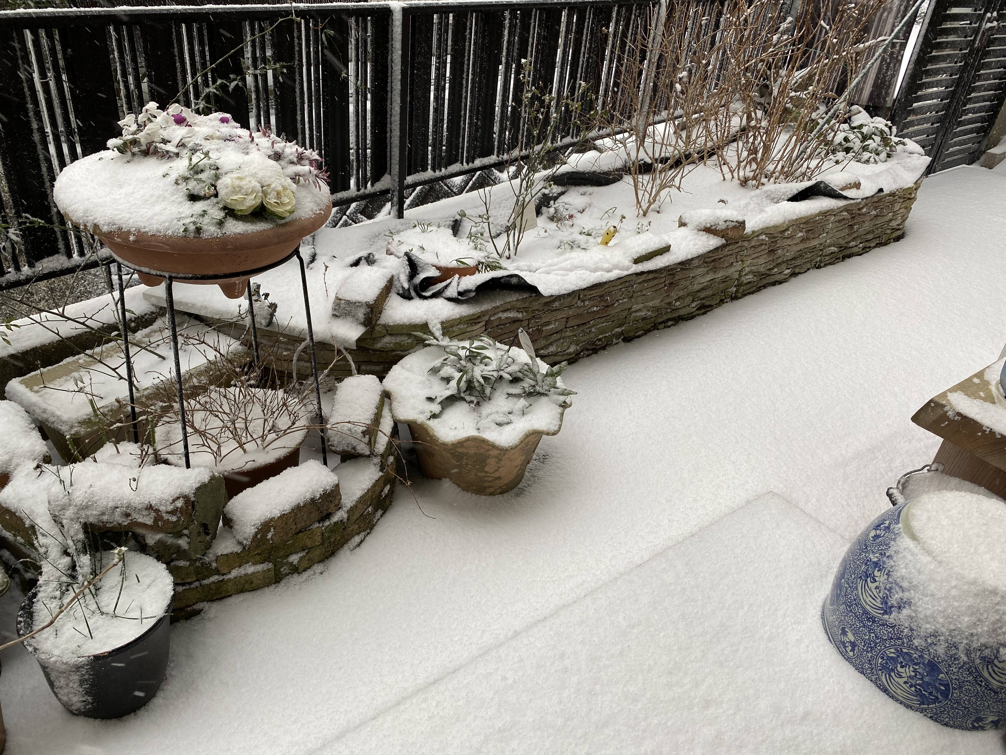 本日雪のためお休みします