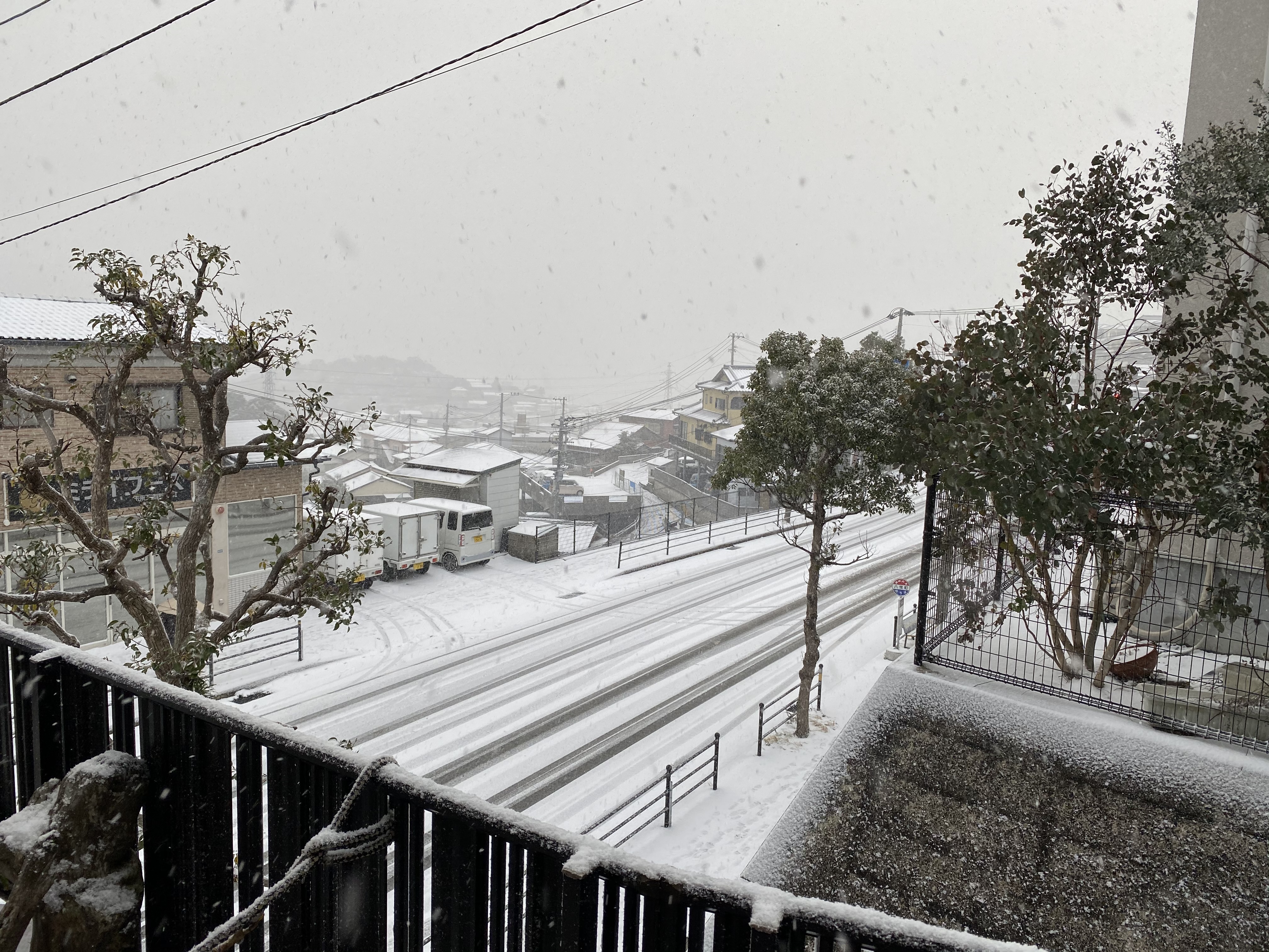 本日雪のためお休みします